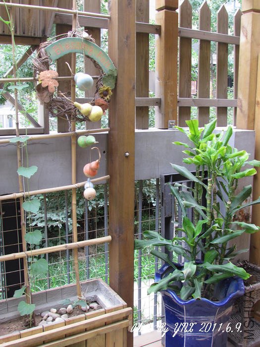 2011.6.9. 053.jpg