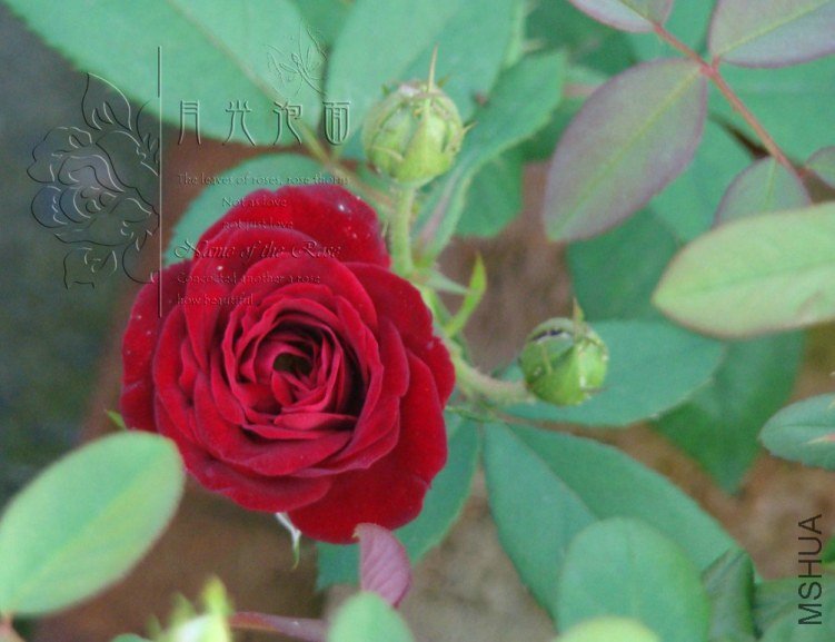 QQ��ͼ20120713093022.jpg