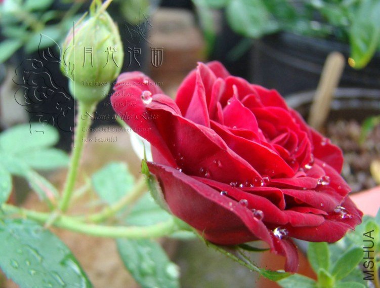 QQ��ͼ20120713093923.jpg