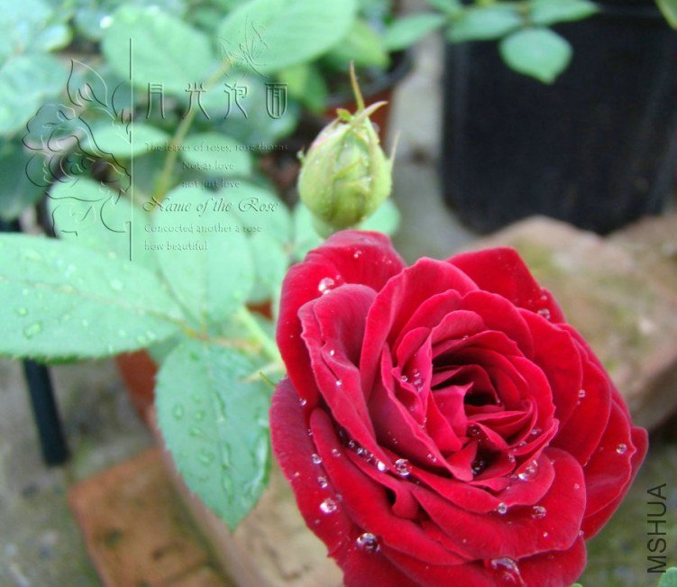 QQ��ͼ20120713093932.jpg