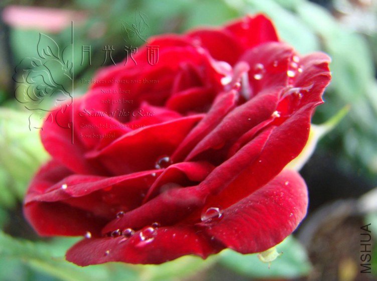 QQ��ͼ20120713094056.jpg