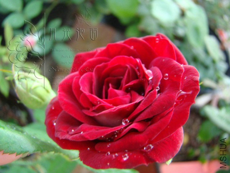 QQ��ͼ20120713094104.jpg