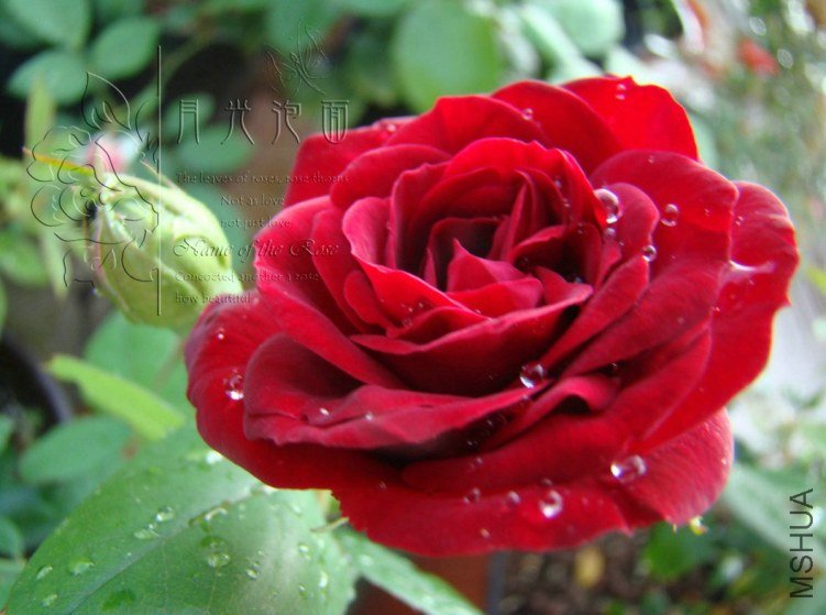 QQ��ͼ20120713094115.jpg