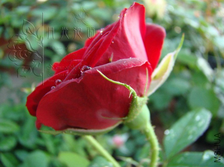 QQ��ͼ20120713094132.jpg
