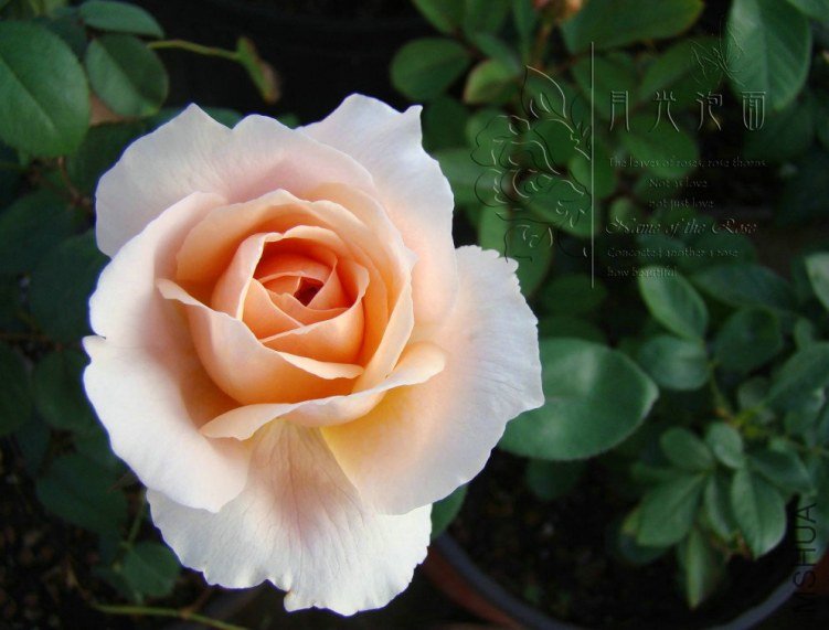 QQ��ͼ20120713092717.jpg