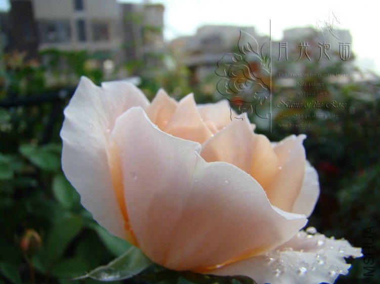 QQ��ͼ20120713093840.jpg