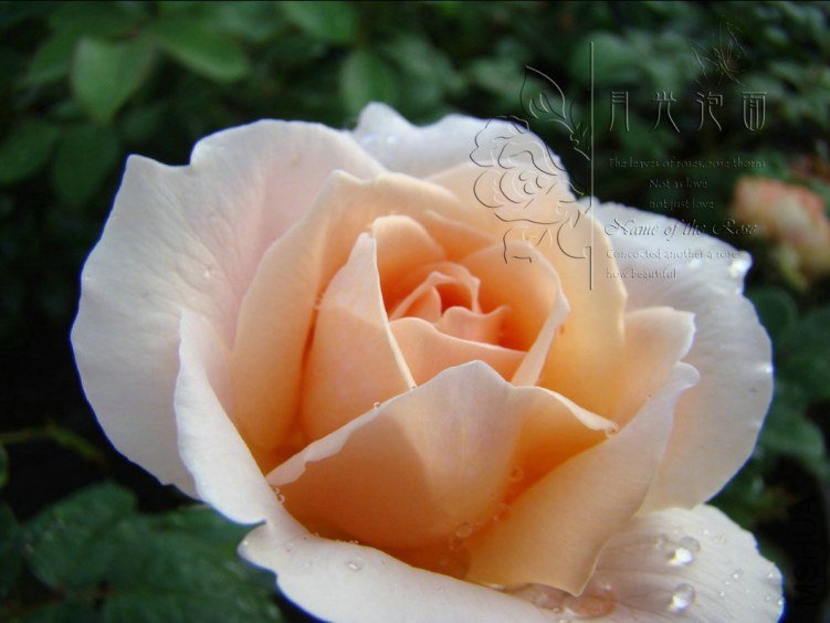 QQ��ͼ20120713093849.jpg