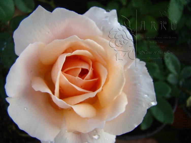 QQ��ͼ20120713094237.jpg