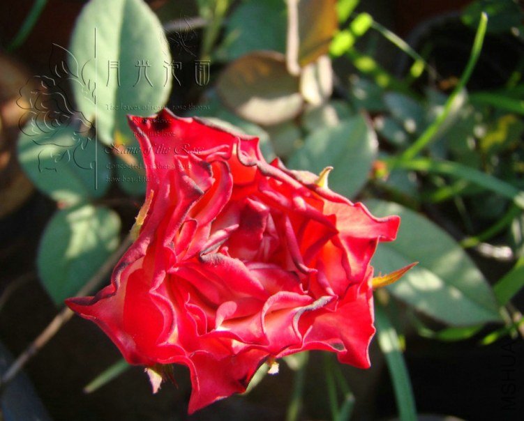 QQ��ͼ20120713092816.jpg