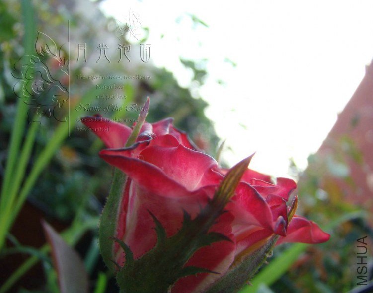 QQ��ͼ20120713094513.jpg