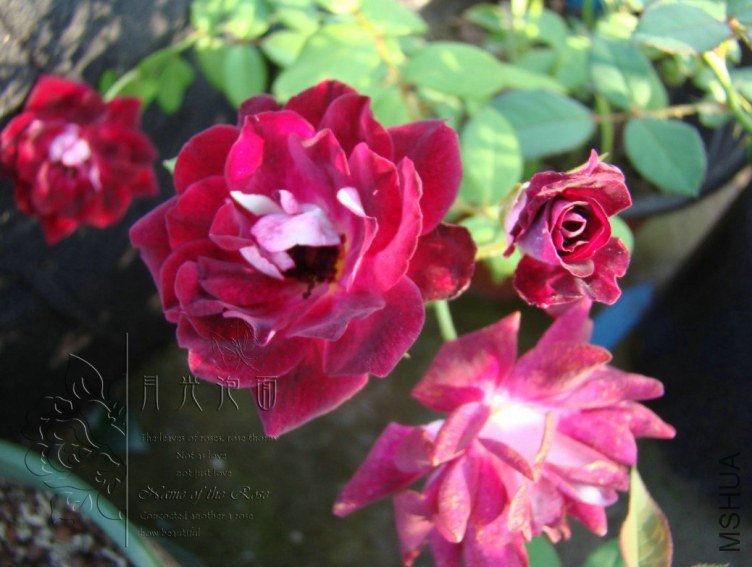 QQ��ͼ20120713092739.jpg