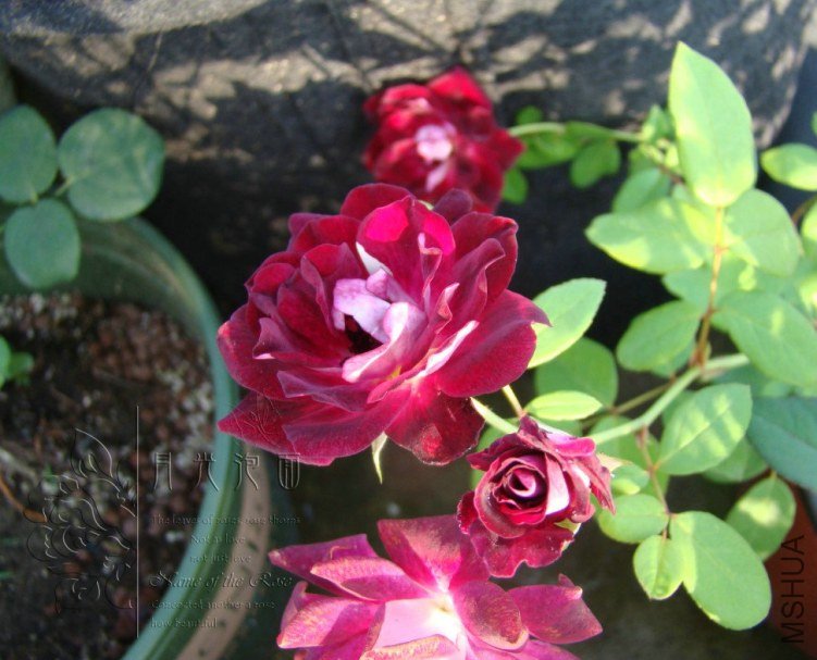QQ��ͼ20120713092751.jpg