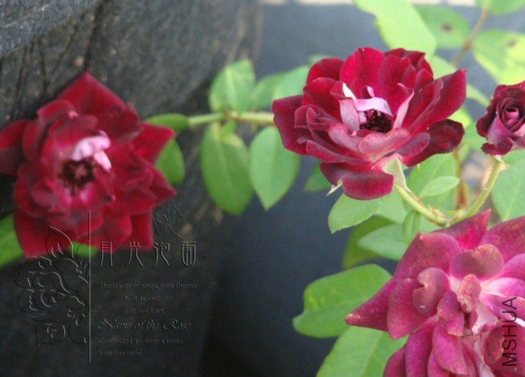 QQ��ͼ20120713093044.jpg