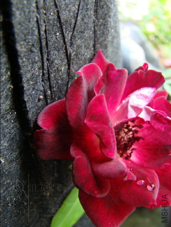 QQ��ͼ20120713094449.jpg