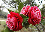 234733hh73oqtopqnh0n30.jpg