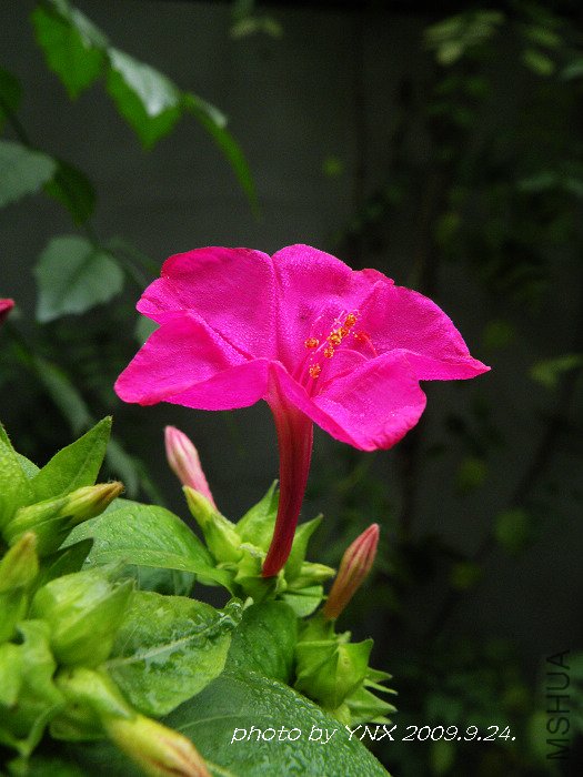 2009.9.28. 041.jpg