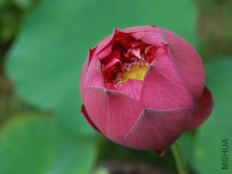 DSC_0008.jpg
