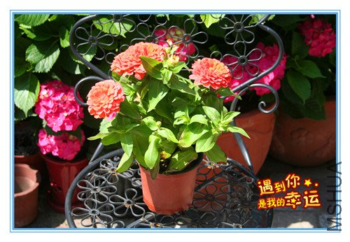 ��Ƭ 012_������5.jpg