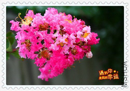 ��Ƭ 021_����.jpg