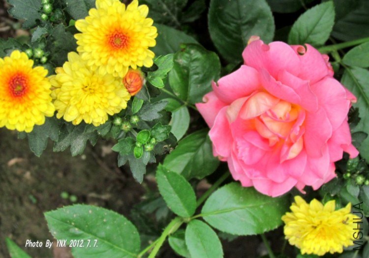 2012.7.7. 012_conew1.jpg