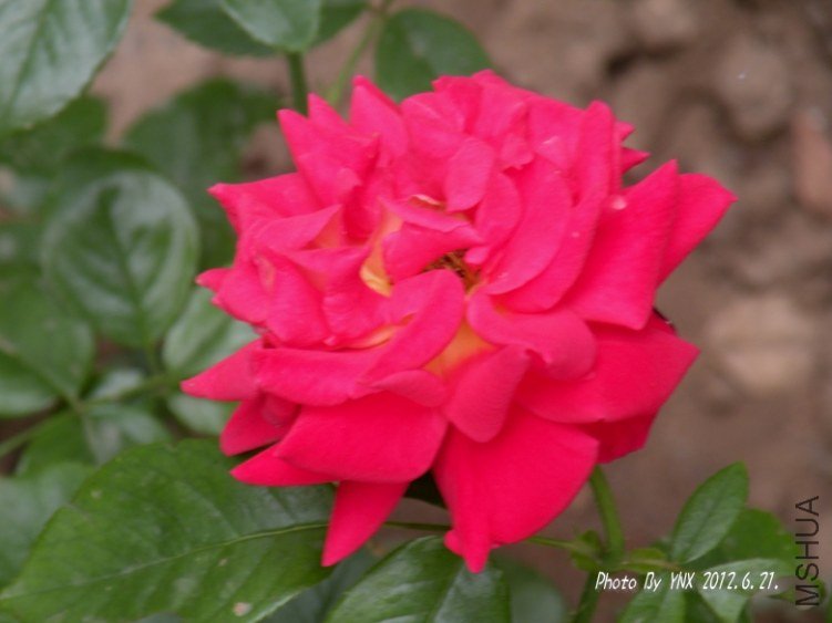 2012.6.21. 003_conew1.jpg