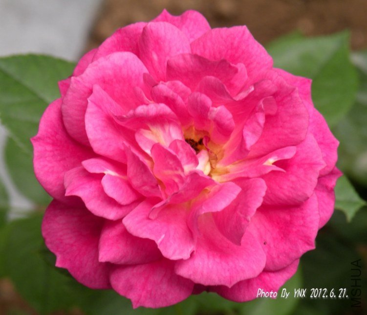 2012.6.21. 008_conew1.jpg