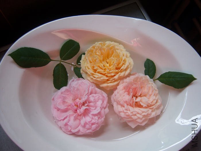 100_3185.JPG