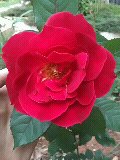7��4�ռ��»�û����.jpg