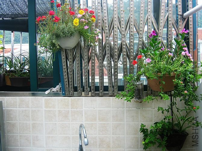 ���Ǳ�������ⷿ