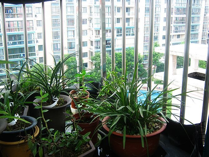 ת�ǵ�ƽ̨����һЩ����