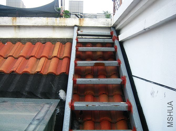 �����������ȥ����¥���˺Ǻ�