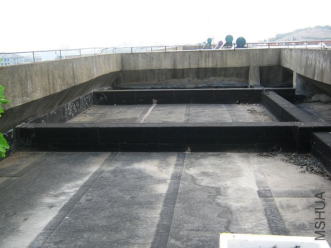 �����ھӼҵ��ݶ������������Ŷ��ϧѽ����������С����������