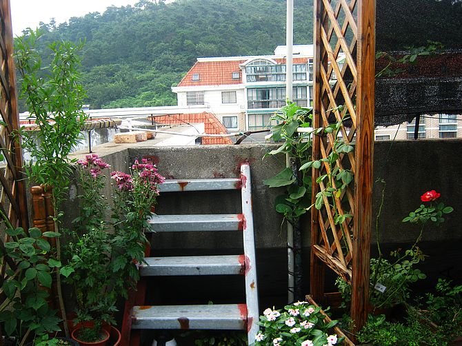 ¥�����ڰ�ʽ�ģ���˳����������