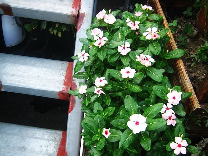 �����ұߵ����մ�һֱ�ڿ���ÿ����30��ȵĸ���ѽ����һ��