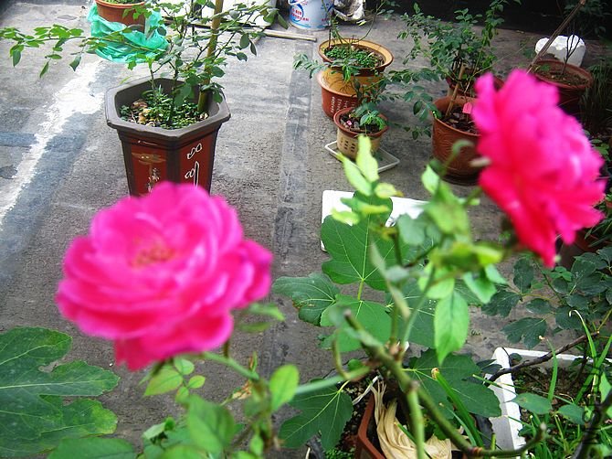 �����¼�����