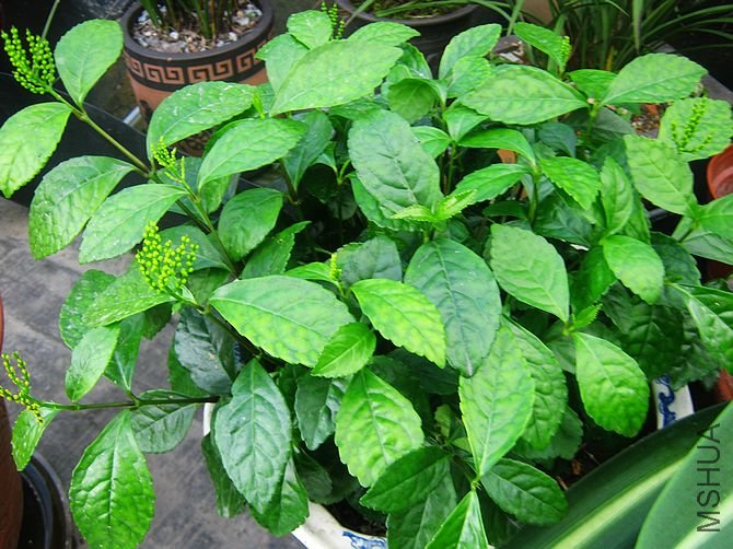 ����������������һ������