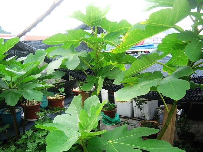 ��ô���һ�ž�û�й���