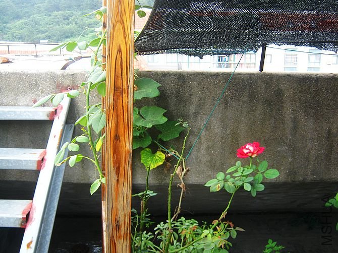 �ұ����Ѿ�