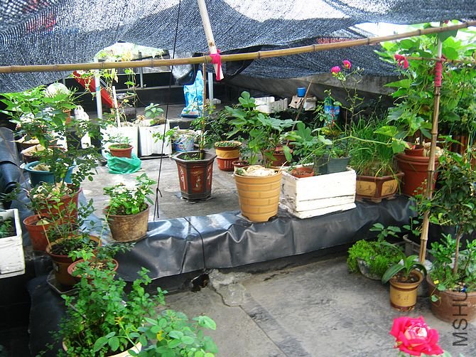 ������ģ�ֻ��������ϣ����Щ�����ܶȹ��������