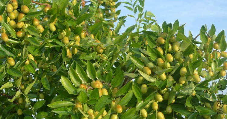 2012-7-14 ���� 17-45-43.jpg