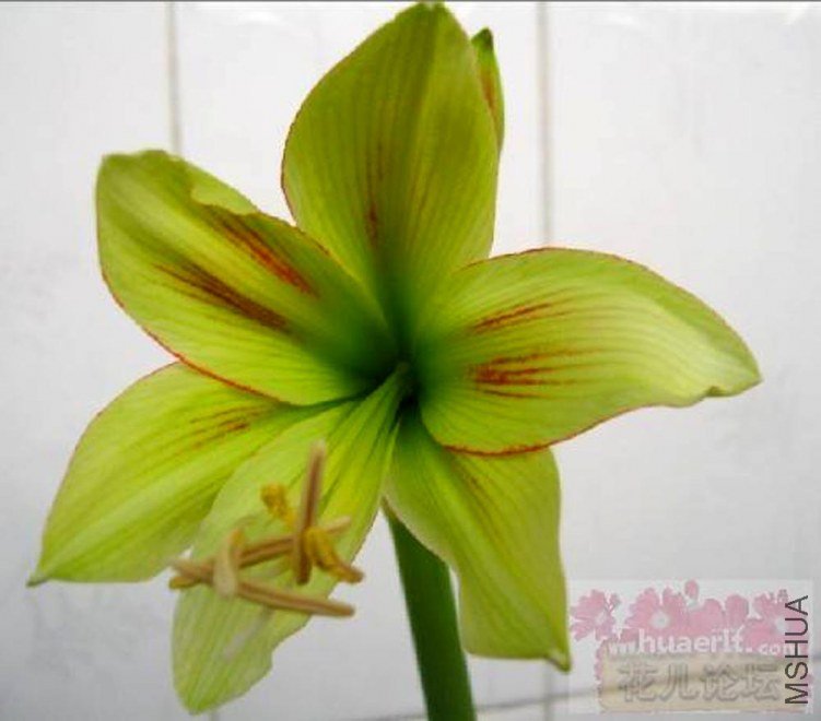 ������ͽ graffeti.jpg