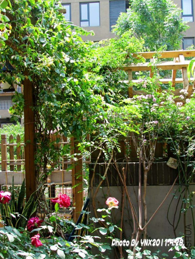 2011.5.28. 044_conew1.jpg