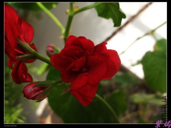 DSCF2214.jpg