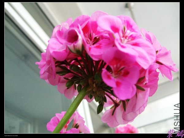 DSCF2314.jpg