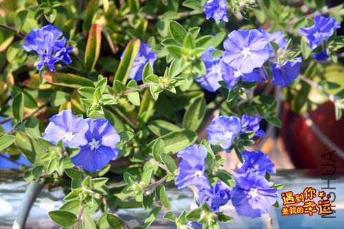 ��Ƭ 011_����.jpg