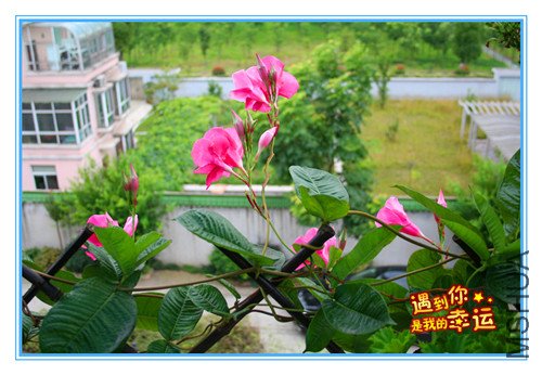 ��Ƭ 047_����.jpg