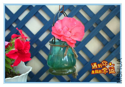 ��Ƭ 007_����6.jpg