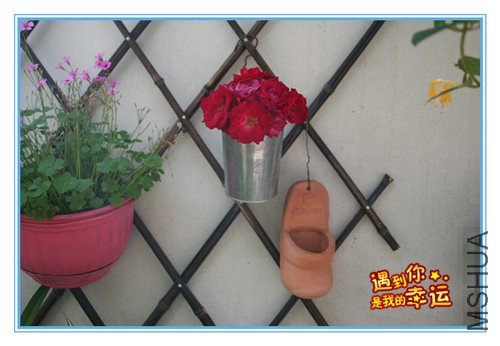 ��Ƭ 011_����9.jpg