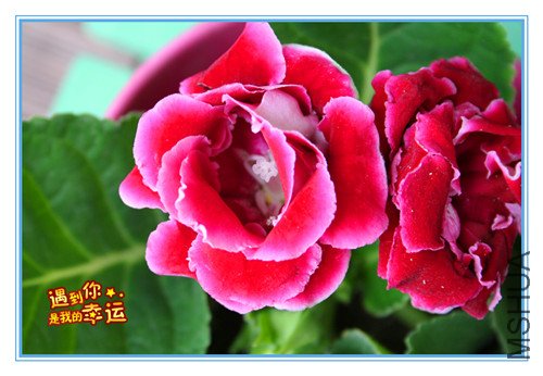 ��Ƭ 029_����.jpg