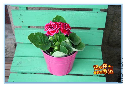 ��Ƭ 027_����.jpg